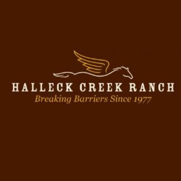 Ralph Lauren Vintage Deep Sky Blue Duchess Silk Satin Gown with Train - Picture 9 of 17